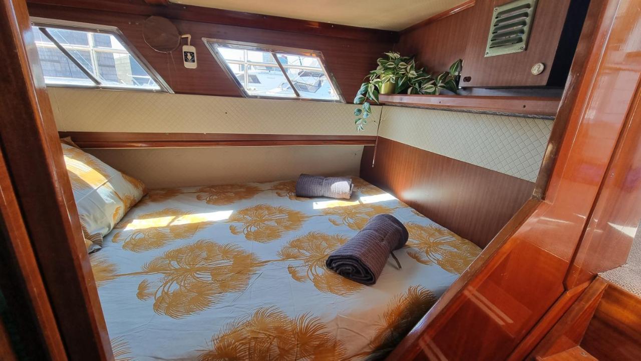 圣阿德里安-德贝索斯 Charming Boat House In Barcelona With Big Terrace And Solarium酒店 外观 照片
